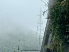 -江南天池