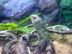 -梦幻海洋王国(吾悦广场张家港店)