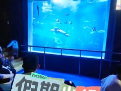 -太平洋海底世界