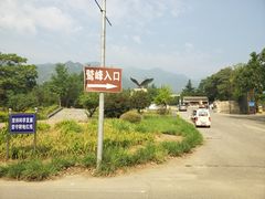 -北京鹫峰国家森林公园