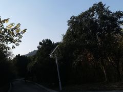 -济南国际园博园