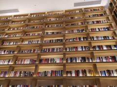 -深影国际影城(学院南路店CGS中国巨幕店)