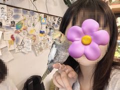 -吉丁鸟咖·异宠·寄养