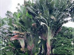 -白沙门生态公园