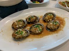 豆豉粉丝蒸鲍鱼-上海会馆(香港名都店)
