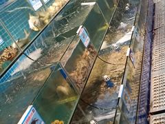 水产区-范饭椰林川湘味海鲜·椰子鸡(三亚湾椰梦长廊店)