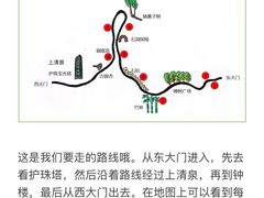 -上海佘山国家森林公园天马山园