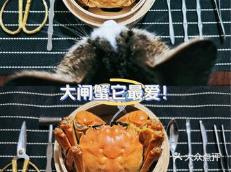 家里吃大闸蟹，它总归头排头座！