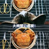 家里吃大闸蟹，它总归头排头座！