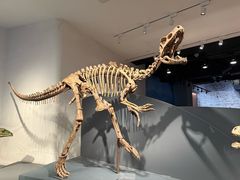 -自贡恐龙博物馆