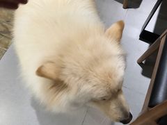 -肆兮眼镜·蔡司·徕卡战略合作店(大坪店)