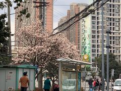 -阿嬷手作(成都万象城店)