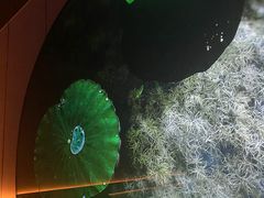 -金来·影院足道(埃美柯店)