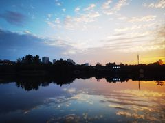 -洋湖国家湿地公园