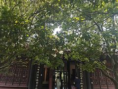 -老桂湖公园-杨升庵博物馆