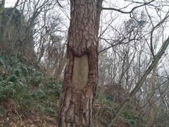 -南京金牛湖风景区