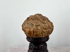 -上海植物园-4号门售票处