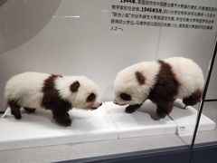 -四川大学博物馆