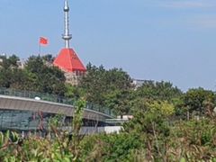 -王莽岭风景区