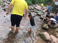 -重庆彩云湖湿地公园