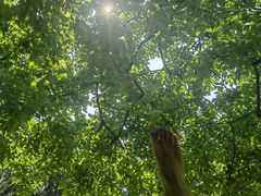 -苏州河梦清园环保主题公园