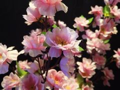 -严厨老坛酸菜鱼(吴江万宝店)