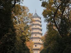 -灵谷景区