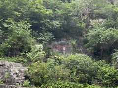 -蝶舞清江·恩施云顶景区(黄鹤峰林)