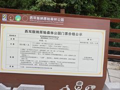 -西双版纳原始森林公园