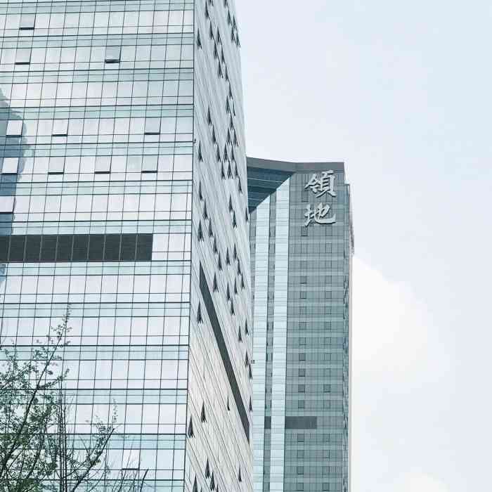 领地环球金融中心-"天府二街这边发展得太好了,尤其这个领地的.