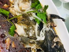 清蒸青斑-双井轩(双井店)