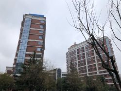 -复旦大学附属妇产科医院(杨浦院区)