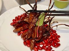 -南堂馆·新川菜(春熙路店)