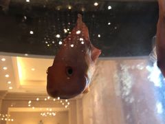 -旺顺阁海鲜广场(亚运村店)