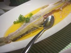 -桂满陇·锦绣江南(益田广场店)