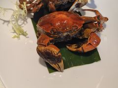 -上海年代(意式风情街店)