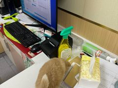 -康成宠物医院24H·CT·核磁共振