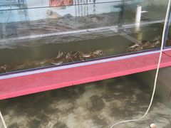 -乡乐园蟹庄·阳澄湖农家乐