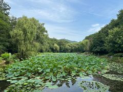 -棒棰岛宾馆景区