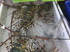 -拉威海鲜市场
