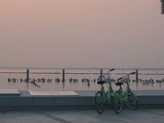 -苏州东太湖生态园