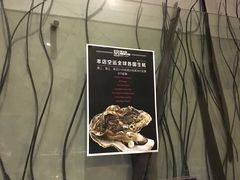 大堂-HIHE Bistro·Oyster Bar(华熙live店)