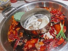 -大龙燚·旷野鲜火锅(广州首店)