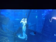 -江和美海洋公园