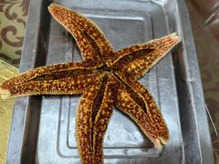 -众想海鲜·烧烤·海肠捞饭·渔家菜(孙家疃店)