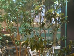 -泰合玺·精油疗愈 SPA(南京河西万达店)