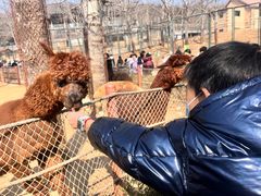 -大连森林动物园