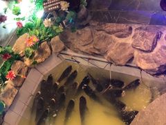 -春盛渔府(牛首山店)