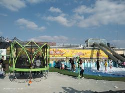 -小蜜蜂农场(凯德七宝购物广场店)