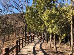 -北京十三陵国家森林公园蟒山景区